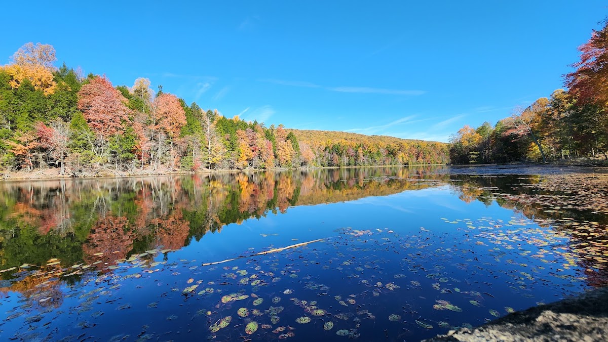 Bays Mountain Park & Planetarium