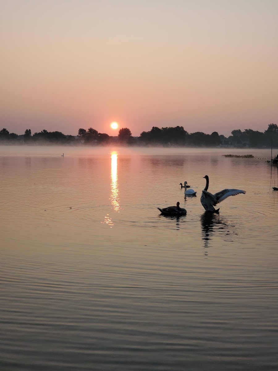 Gun Lake