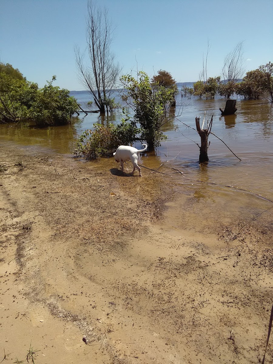 Sabine Lake Inn photo 2