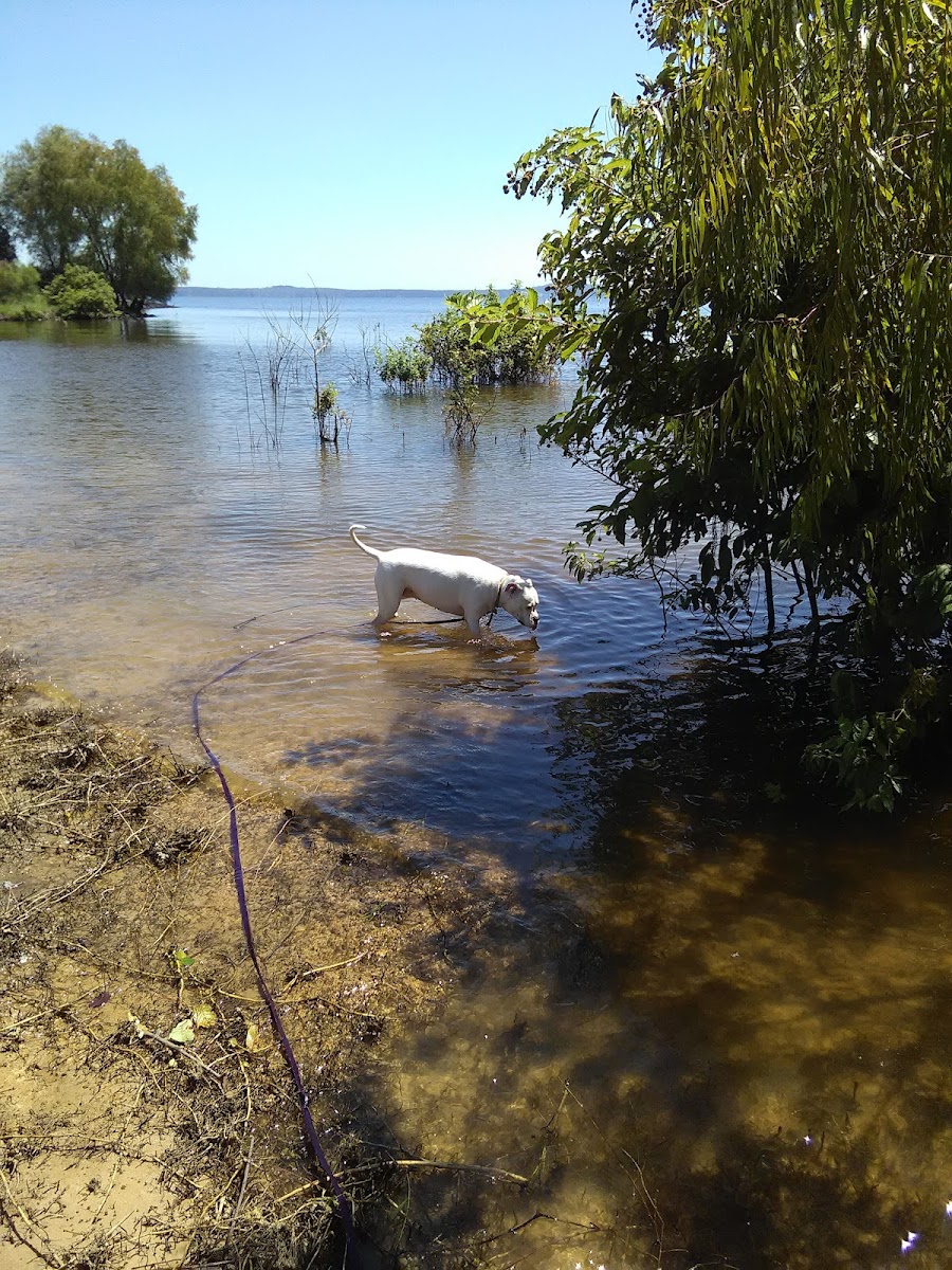 Sabine Lake Inn photo 3
