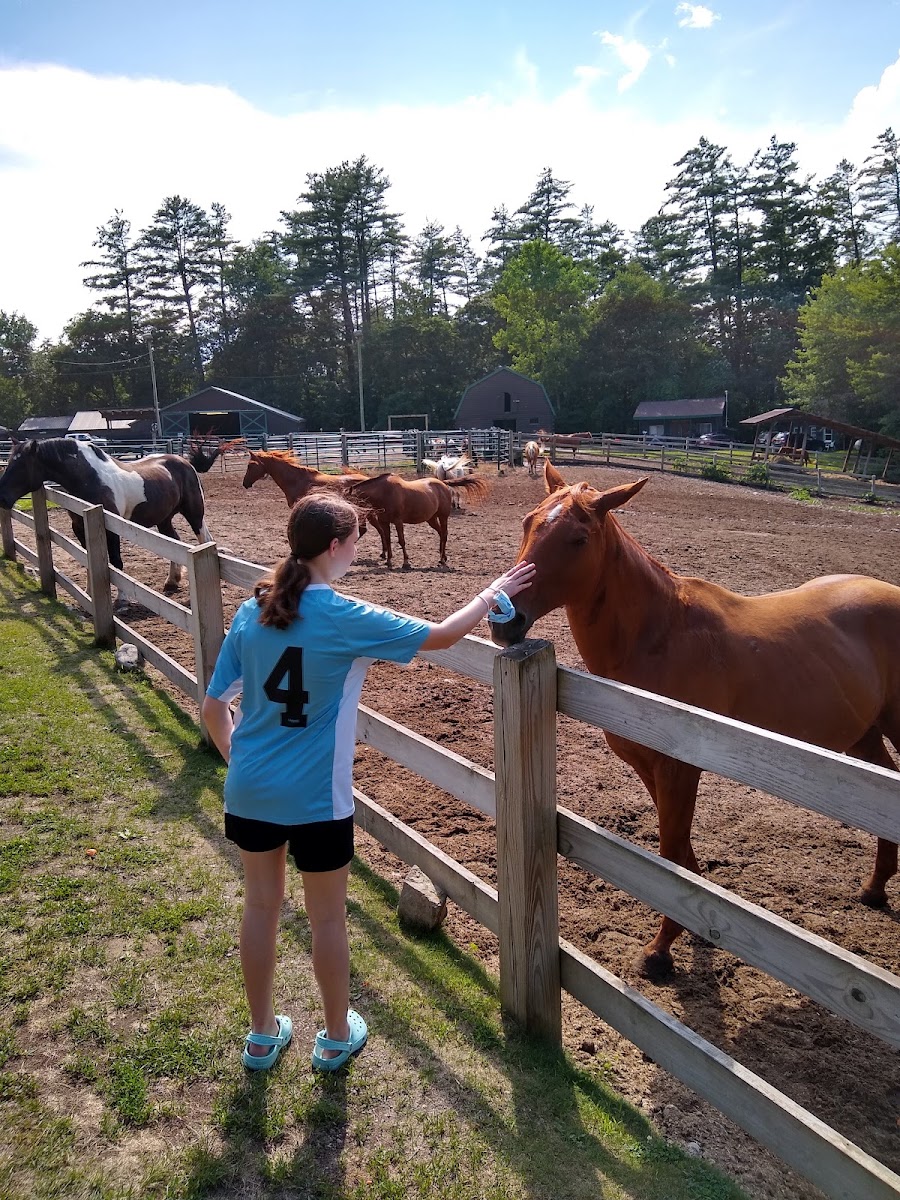 Ridin-Hy Ranch photo 2