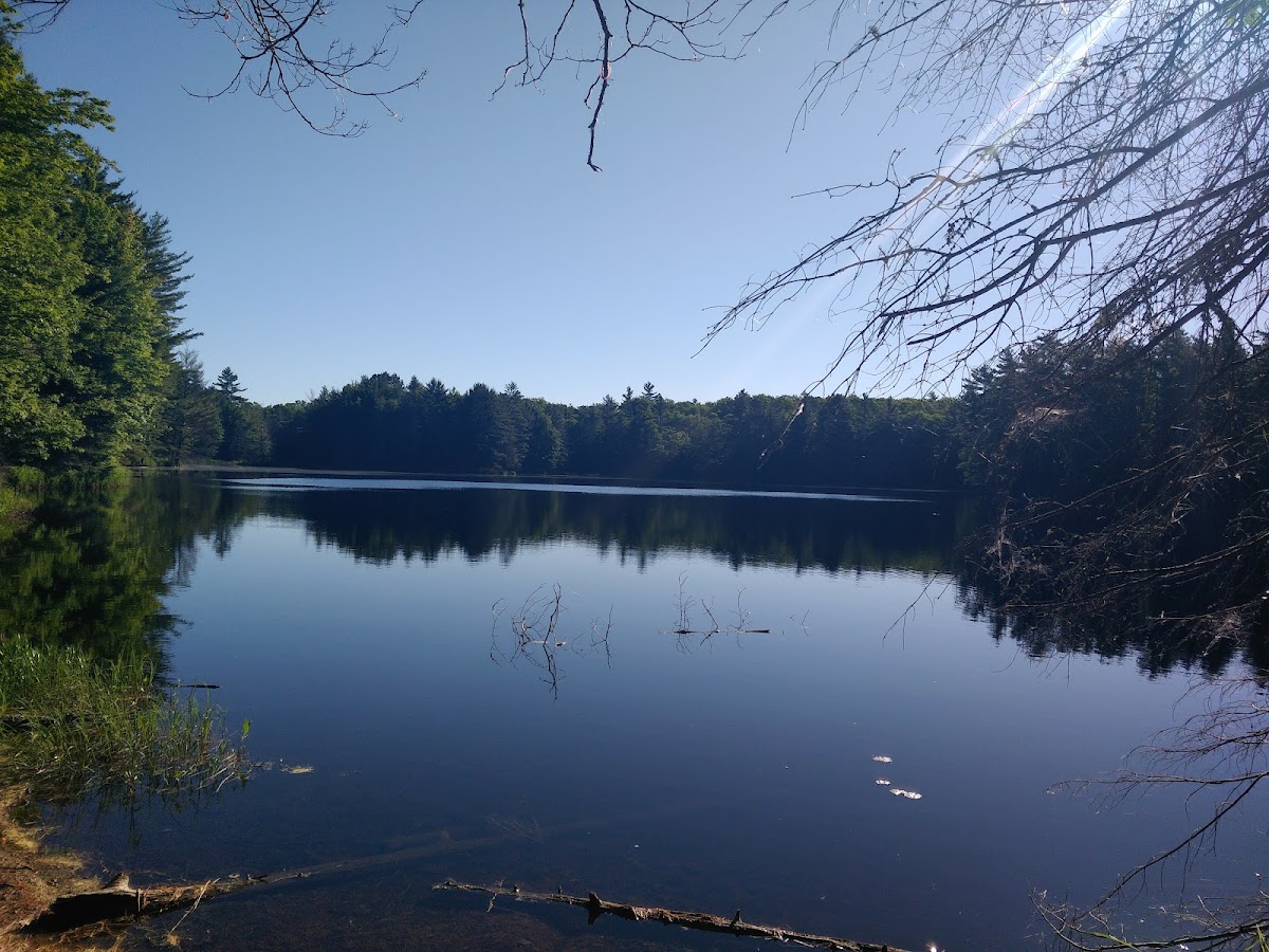 Rainbow Lake Wilderness