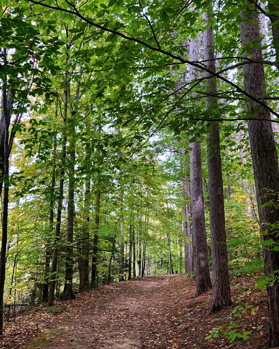 Proud Lake Recreation Area