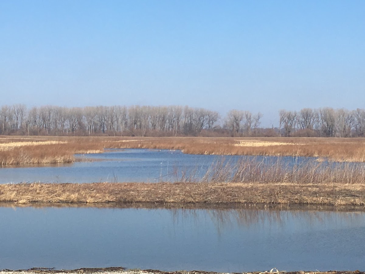Grand Pass Conservation Area