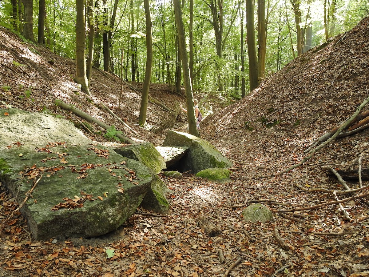Nature reserve Parowy Janinowskie