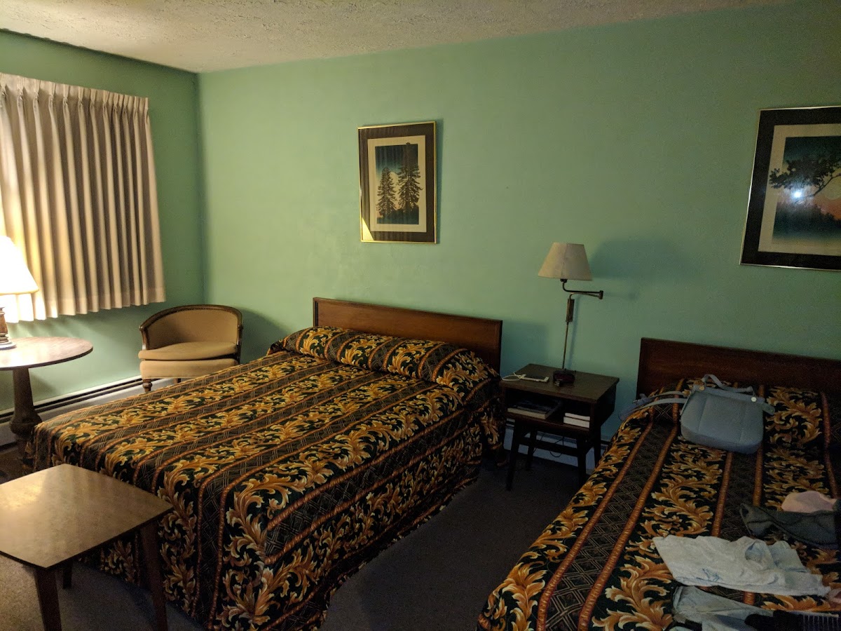Downes Motel photo 2