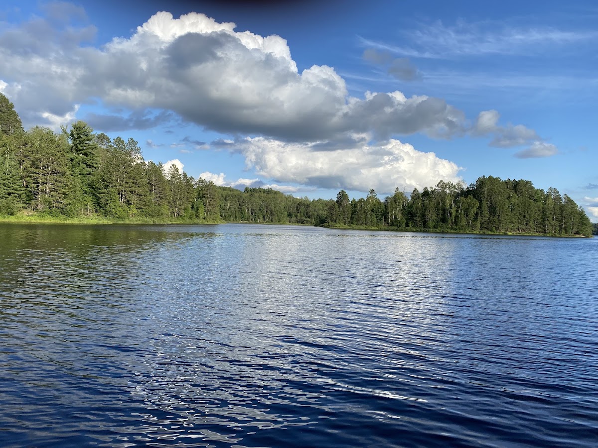 Wynne Lake