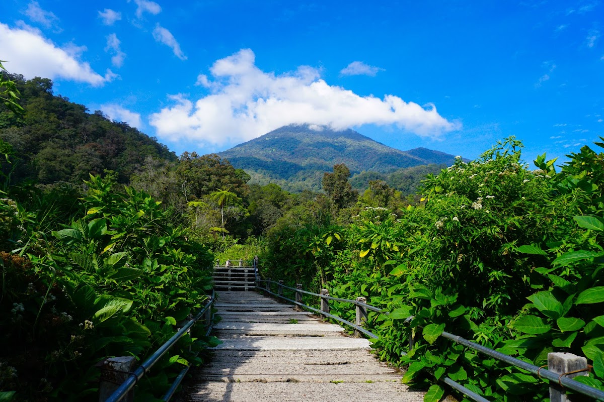 Gunung Gede Pangrango National Park Office