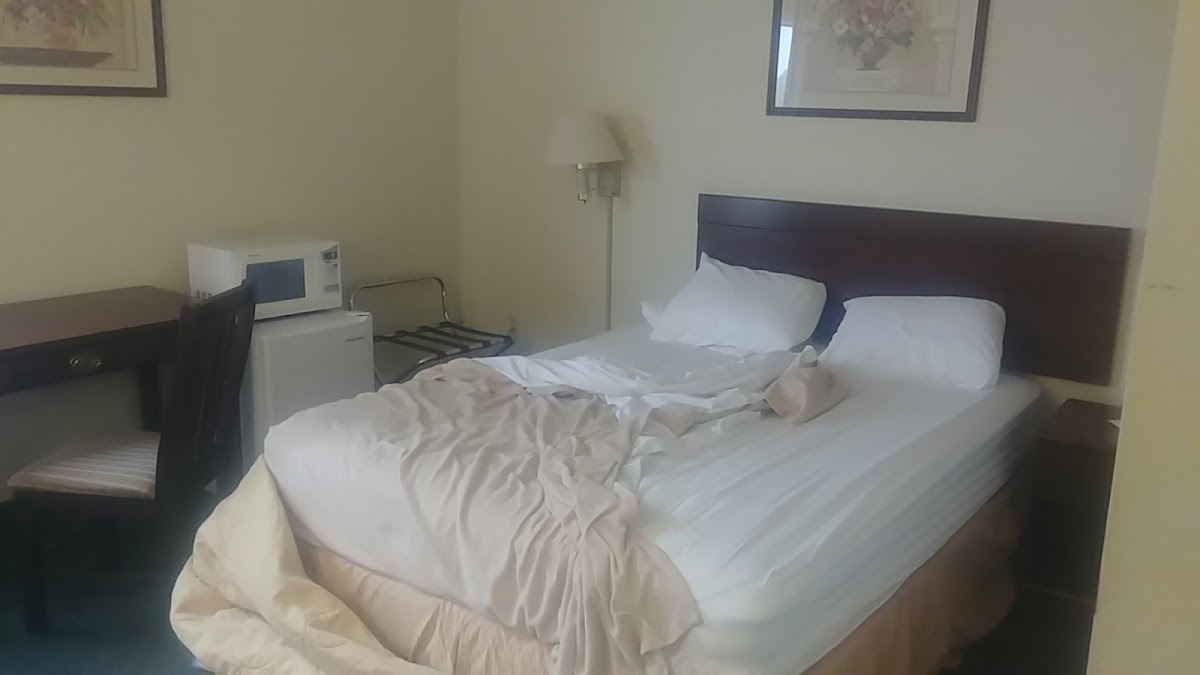 Arlington Inn And Suites photo 3
