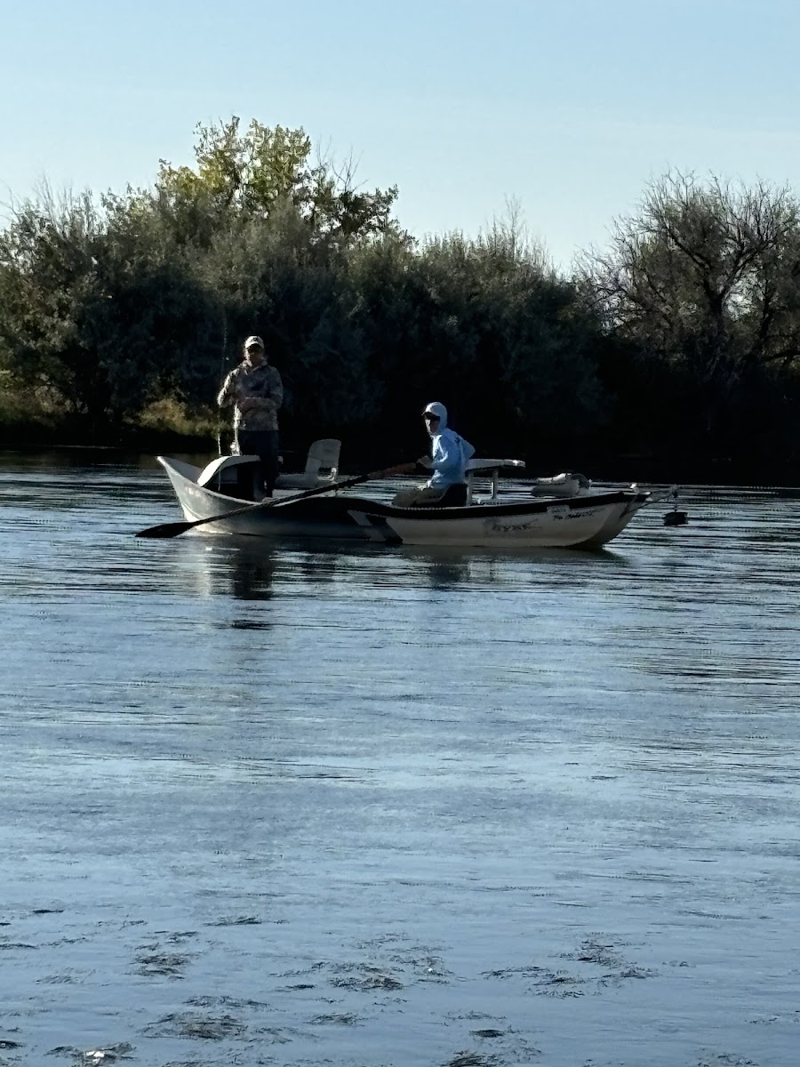 Bighorn Fly & Tackle Shop photo 3