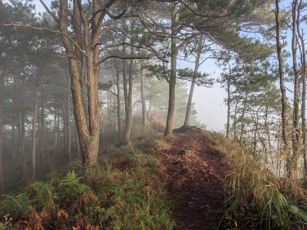 Camp John Hay Park