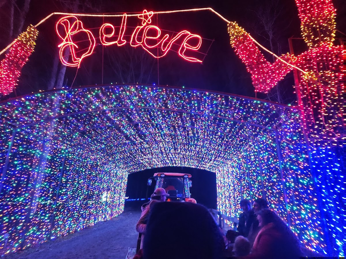 Lights of the South