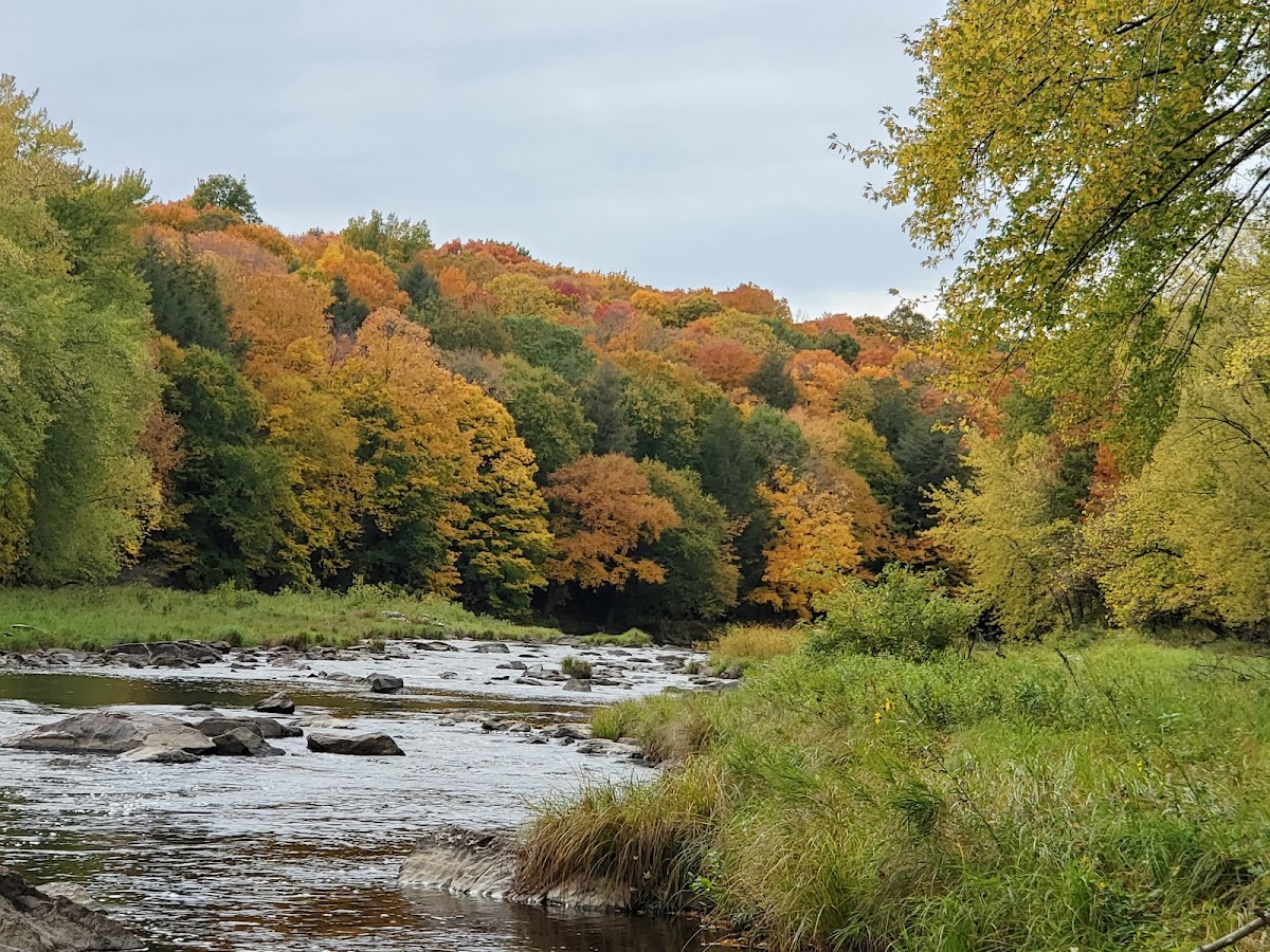 Big Rapids County Park