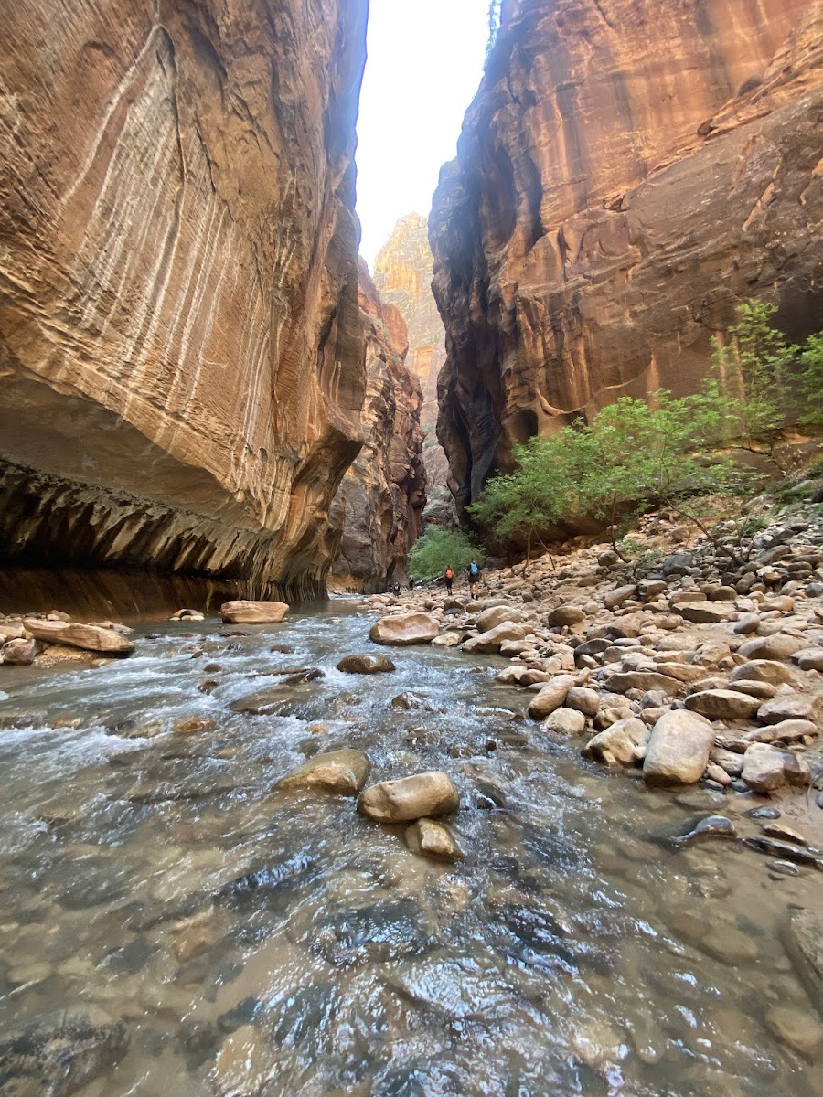 The Narrows