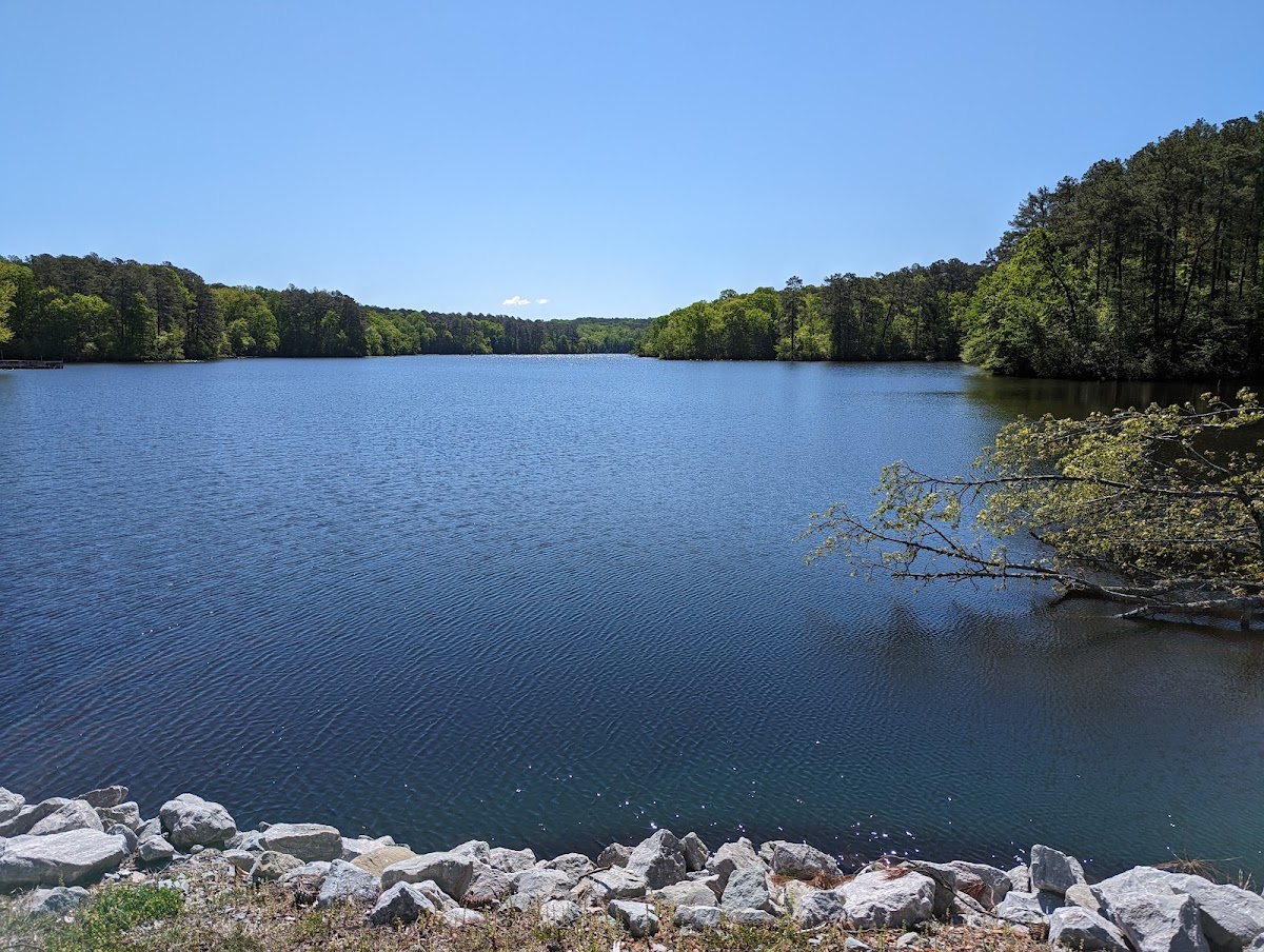 Natchez Trace State Park