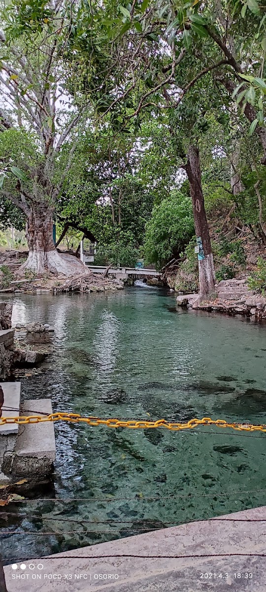 Ojo de Agua, Santiago Laollaga