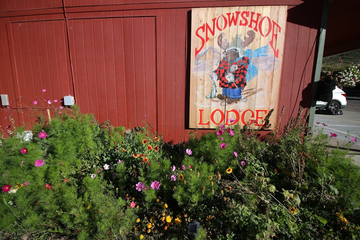 Creede Snowshoe Lodge and ATV/UTV Rental photo 2