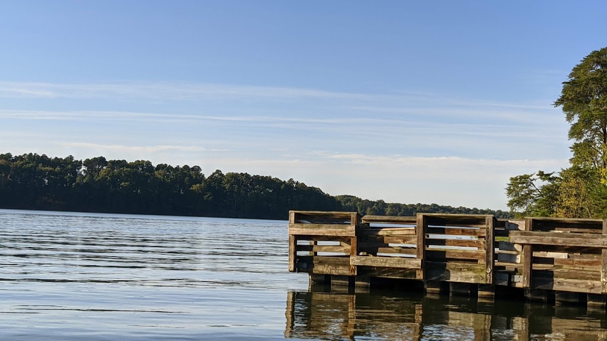 Uwharrie National Forest