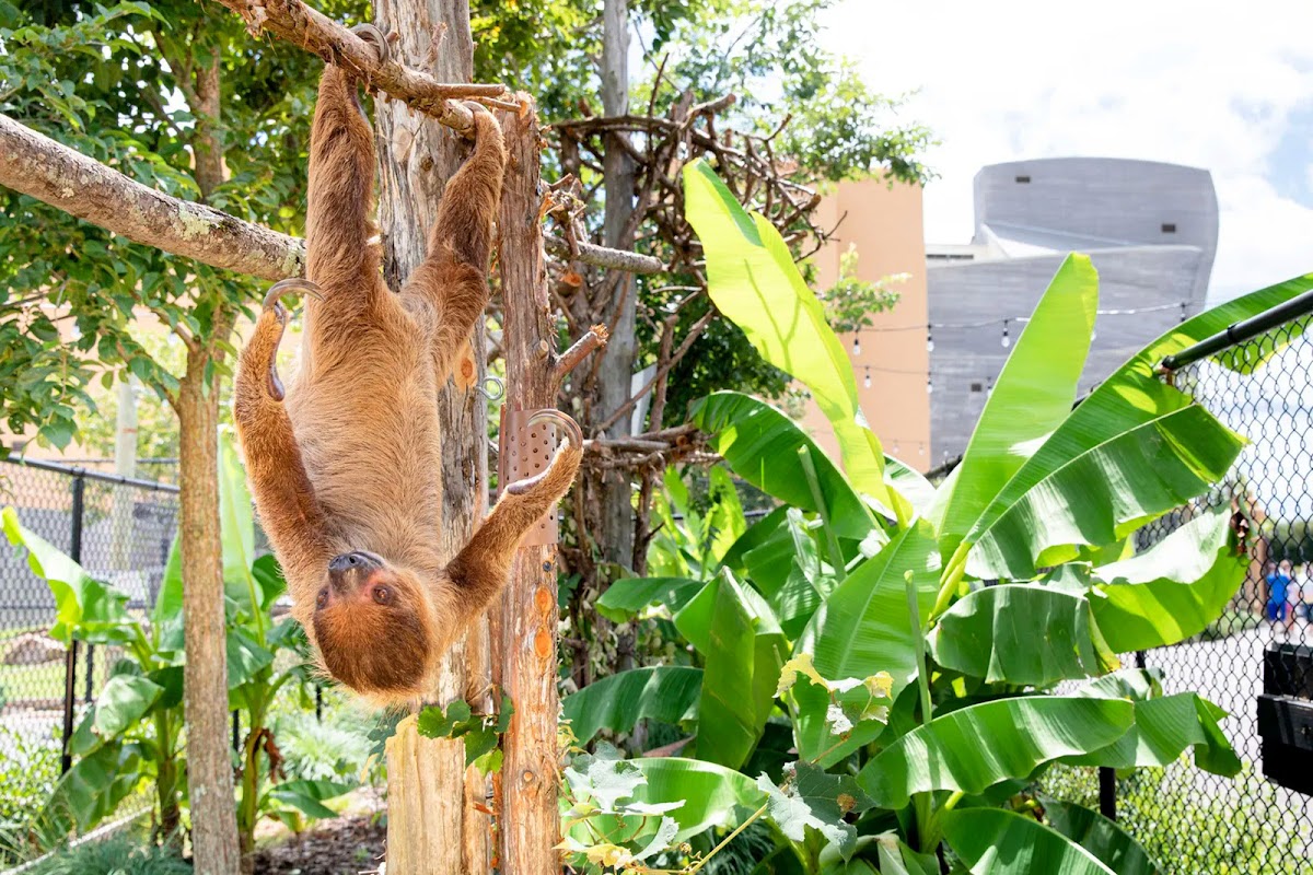 Ararat Ridge Zoo