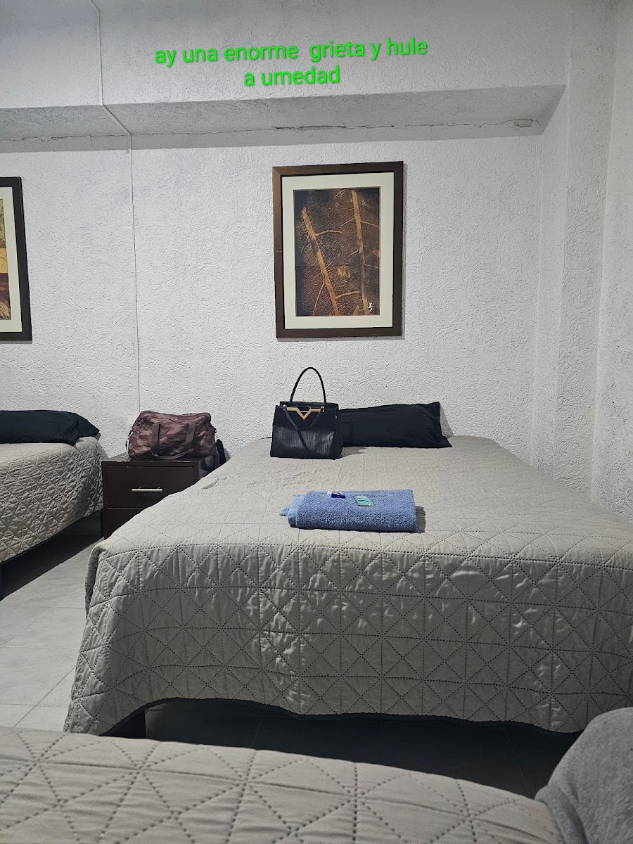 JESAVI Suites photo 3