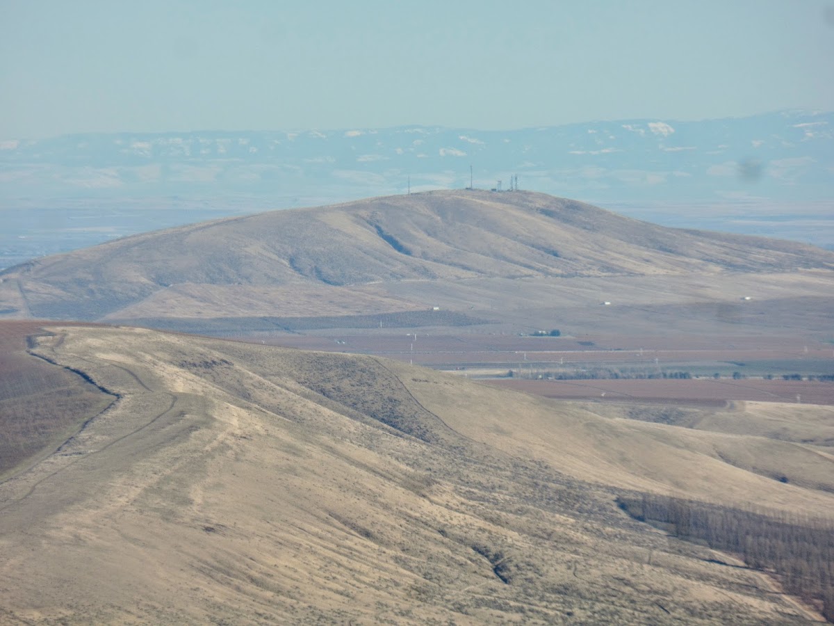 Badger Mountain