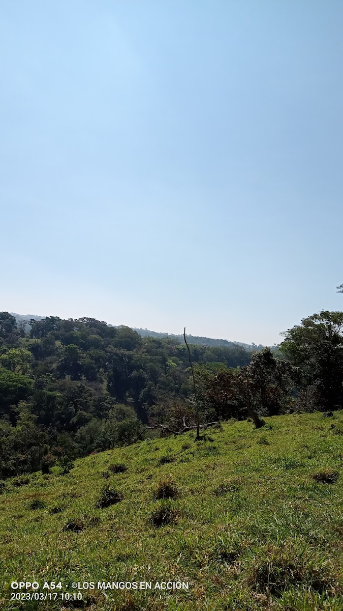 Reserva de la Biosfera de Los Tuxtlas