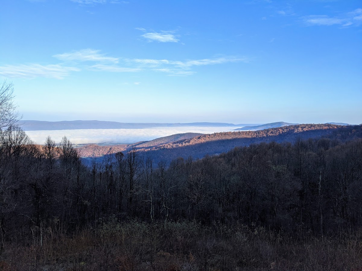 Eagle Trace In The Valley photo 3