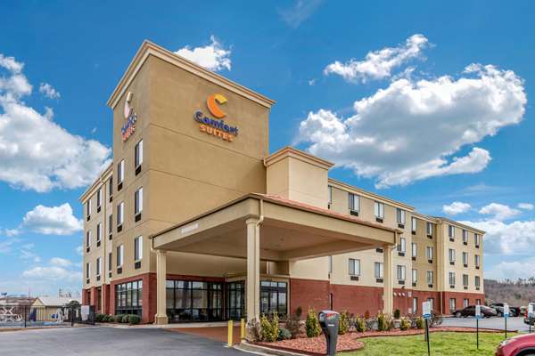 Comfort Suites Pelham Hoover I-65 photo 3