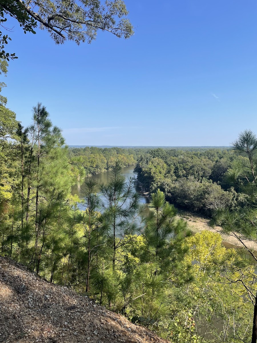 Desoto Bluff Trail