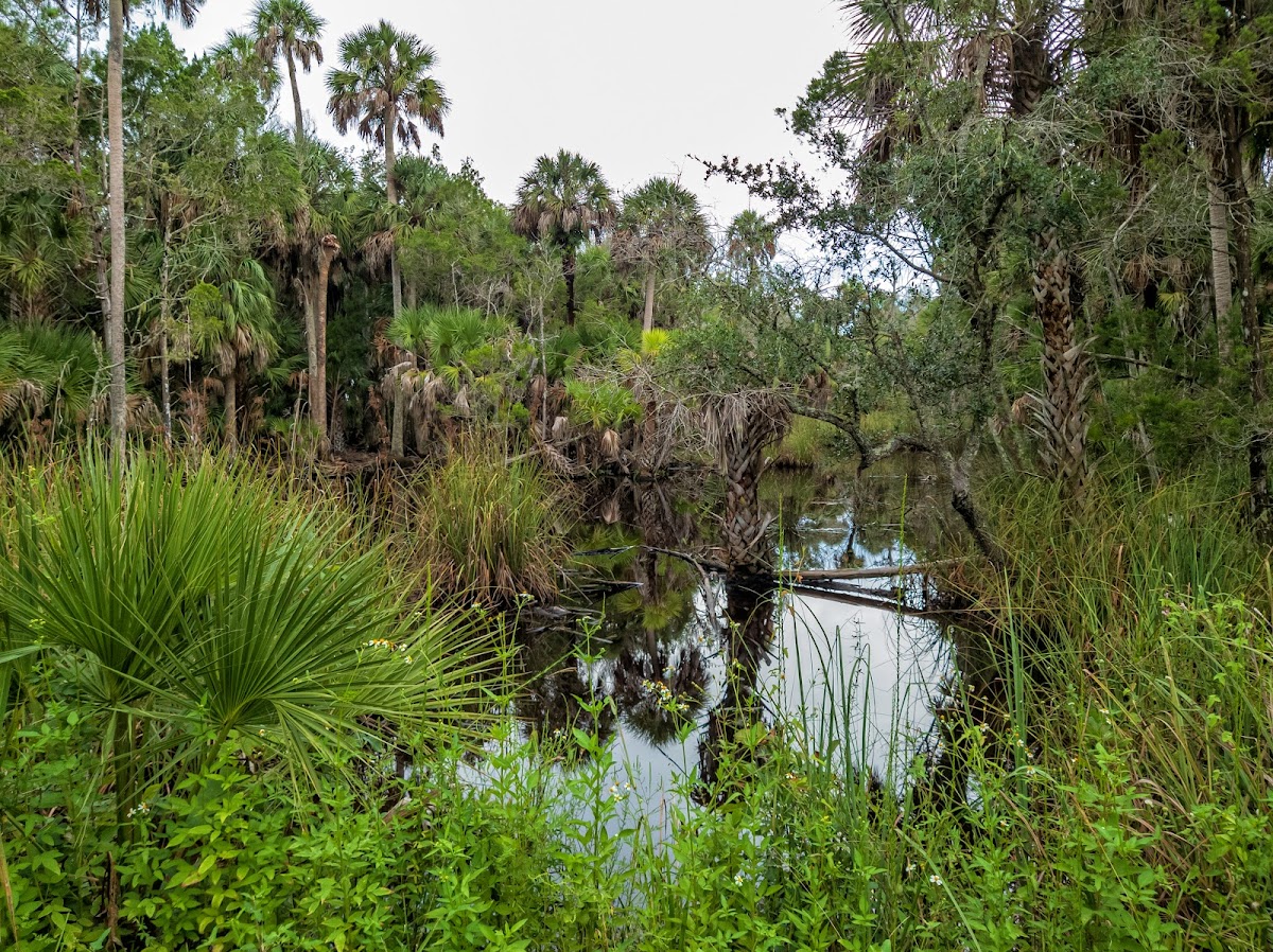 Lower Suwannee National Wildlife Refuge