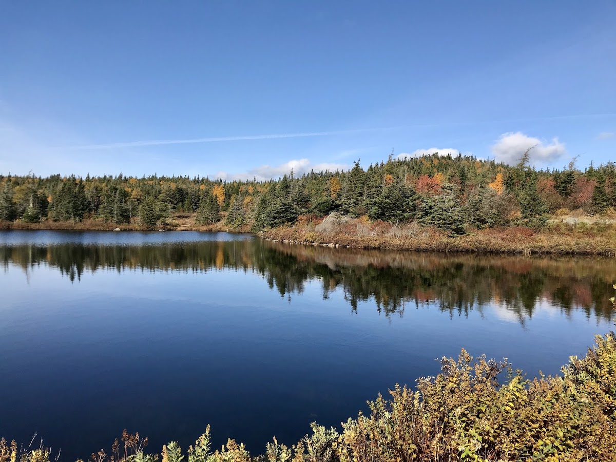 Goosepond Eco Trail