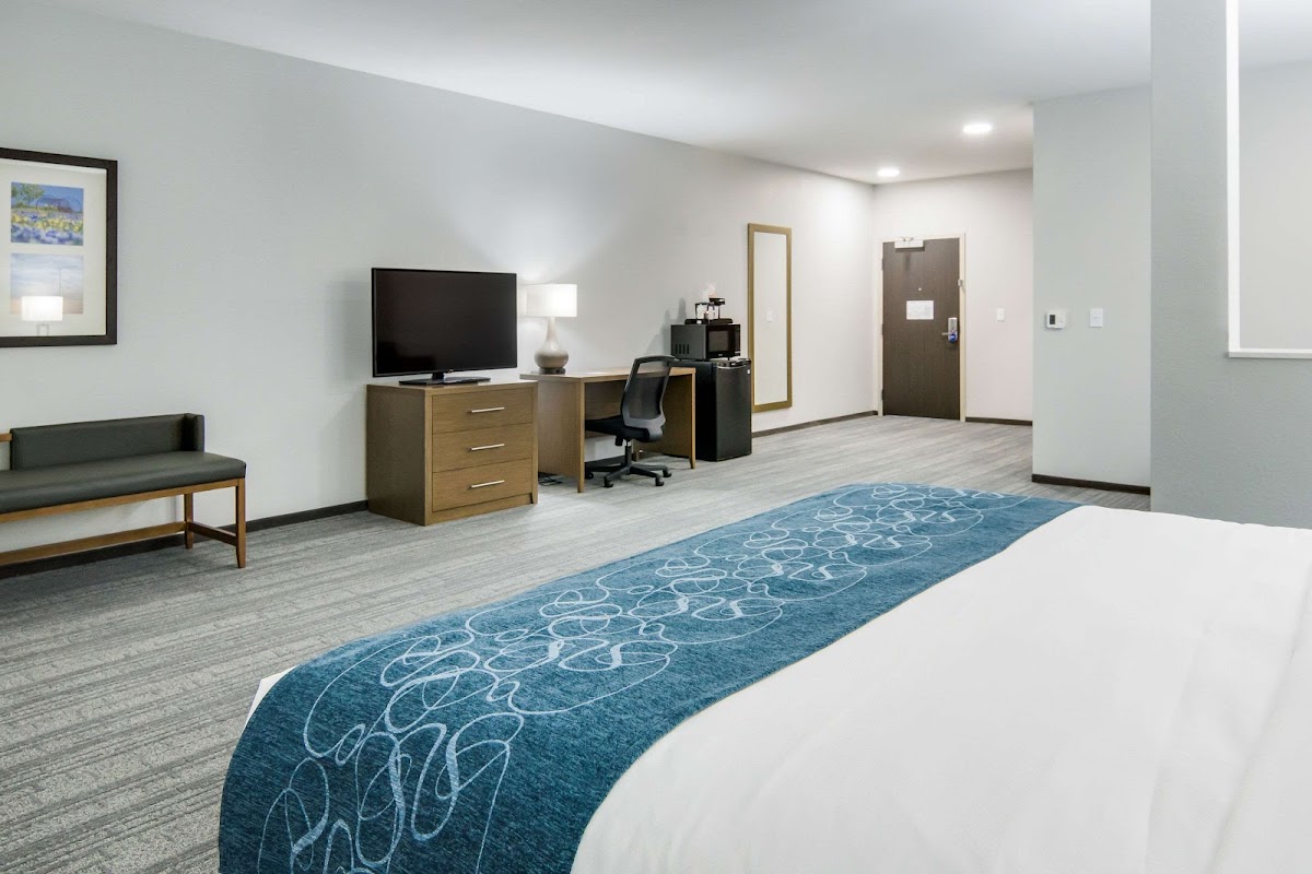 Comfort Suites DeSoto Dallas South photo 2