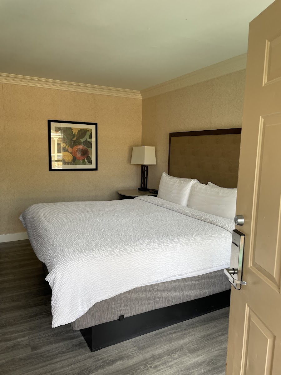 14 West Boutique Hotel photo 2