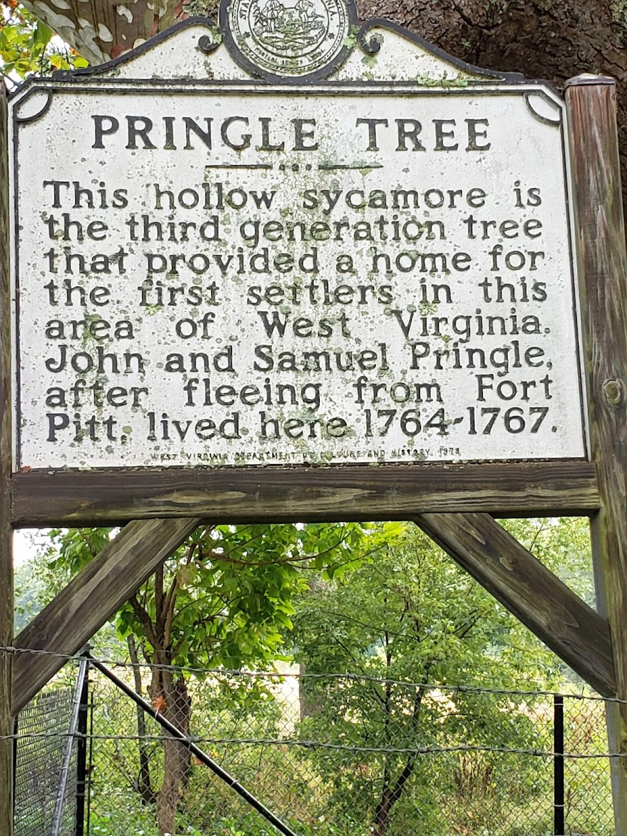 Pringle Tree Park