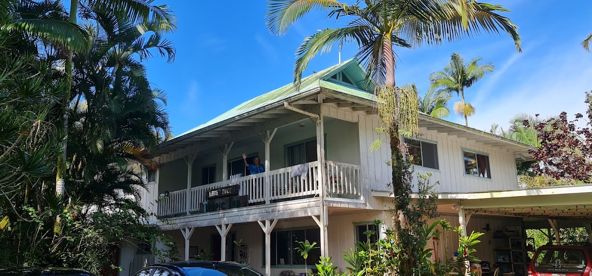 Lava Tree Tropic Inn photo 2