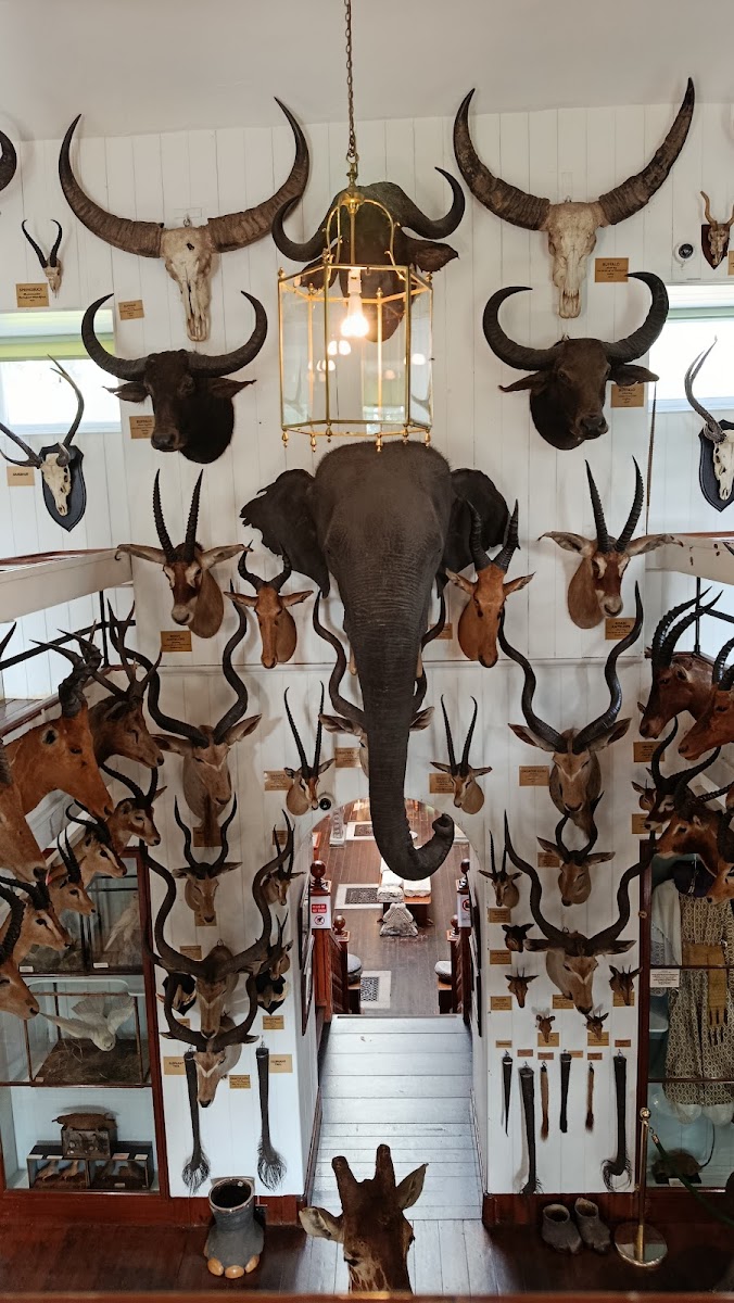 Dunrobin Castle Museum