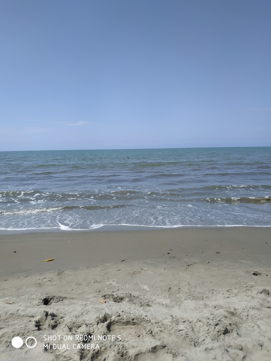 Playa del Frances