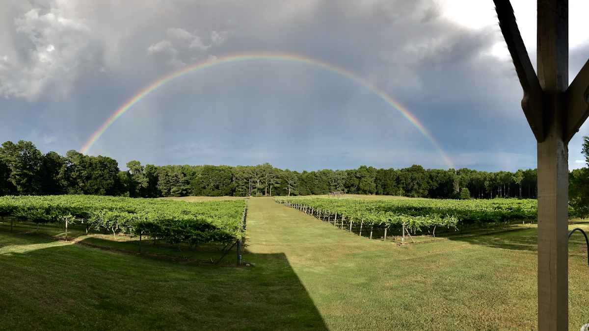 Enoree River Vineyards and Winery