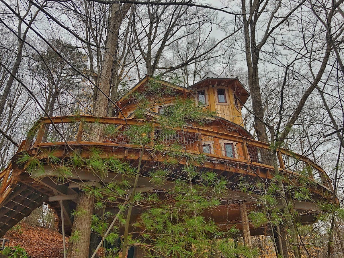 The Carolina Jewel