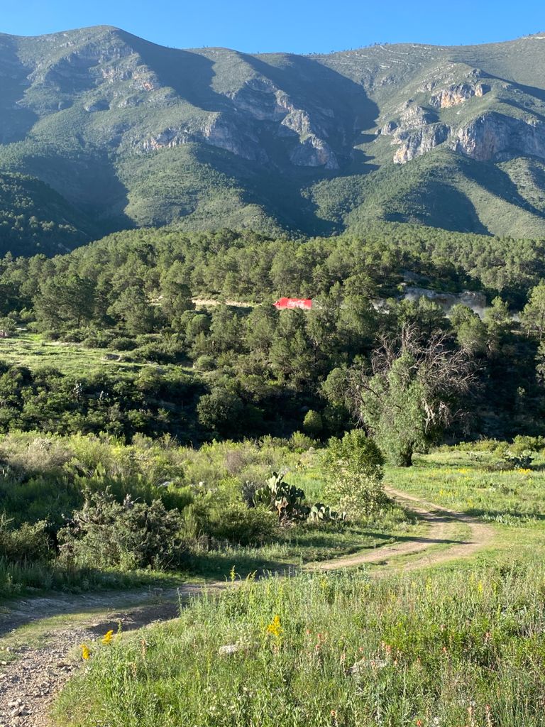 Real de la Sierra photo 3