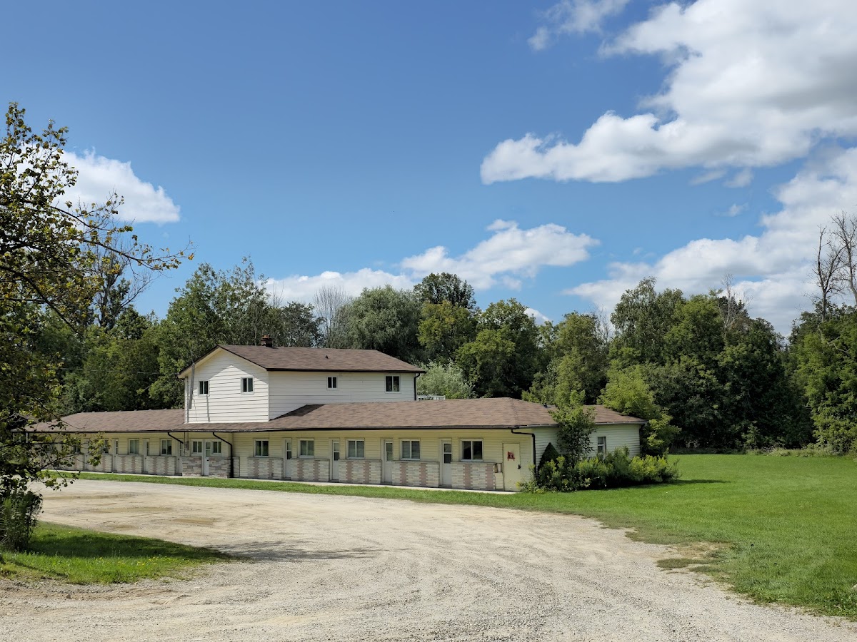 Rosebud Motel photo 3