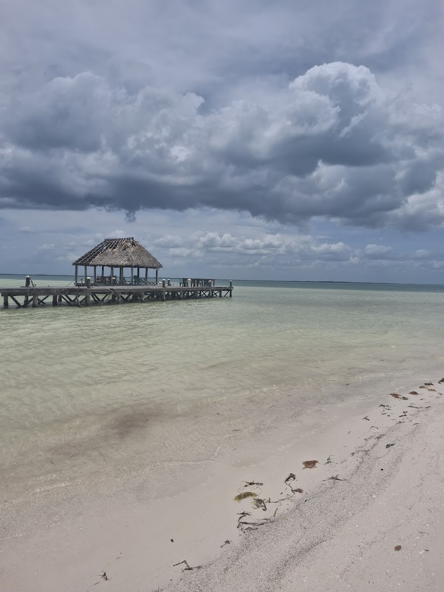 Playa Punta Cocos