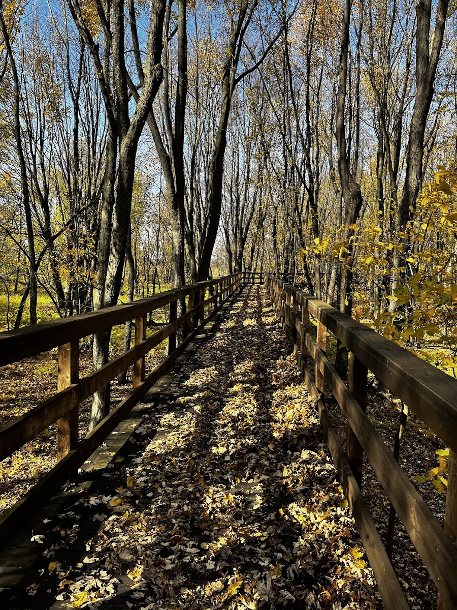 Pointe-Yamachiche Footbridge