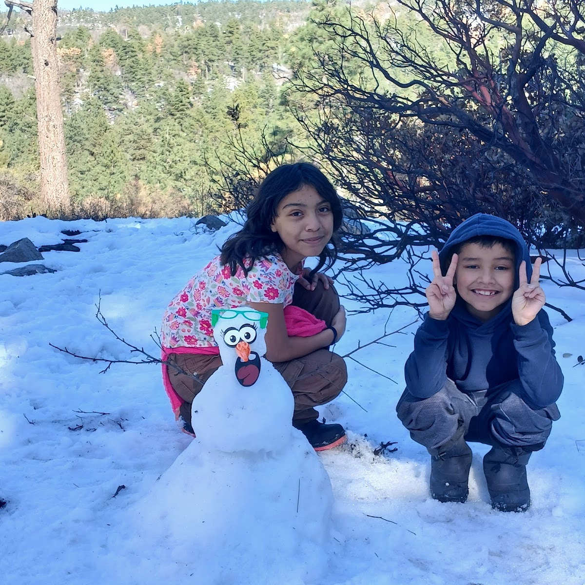 Laguna Mountain Lodge & Store photo 3