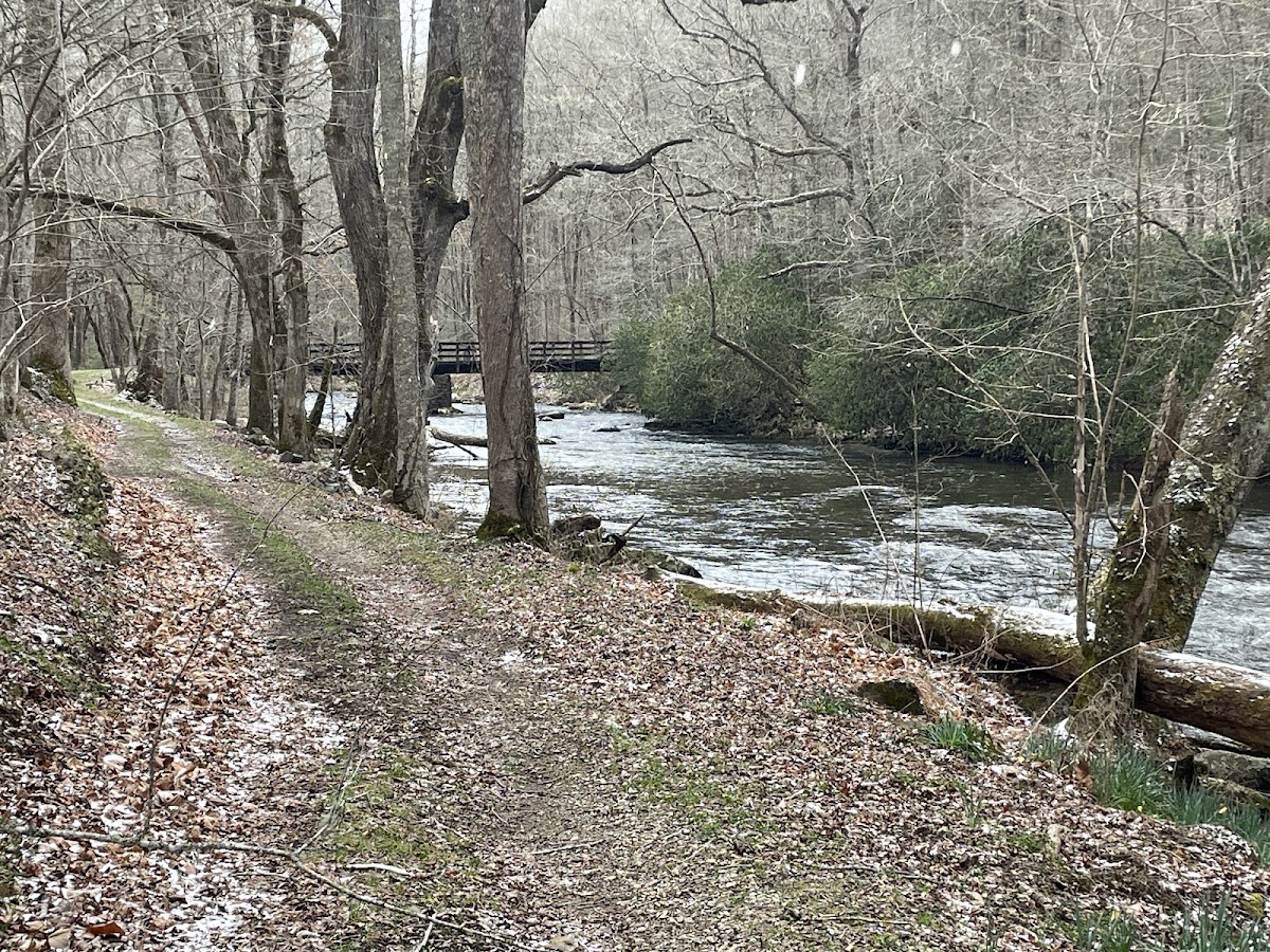 Hazel Creek