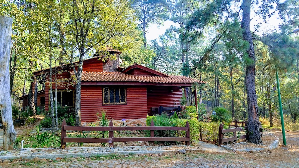 Cabaña camino real 10