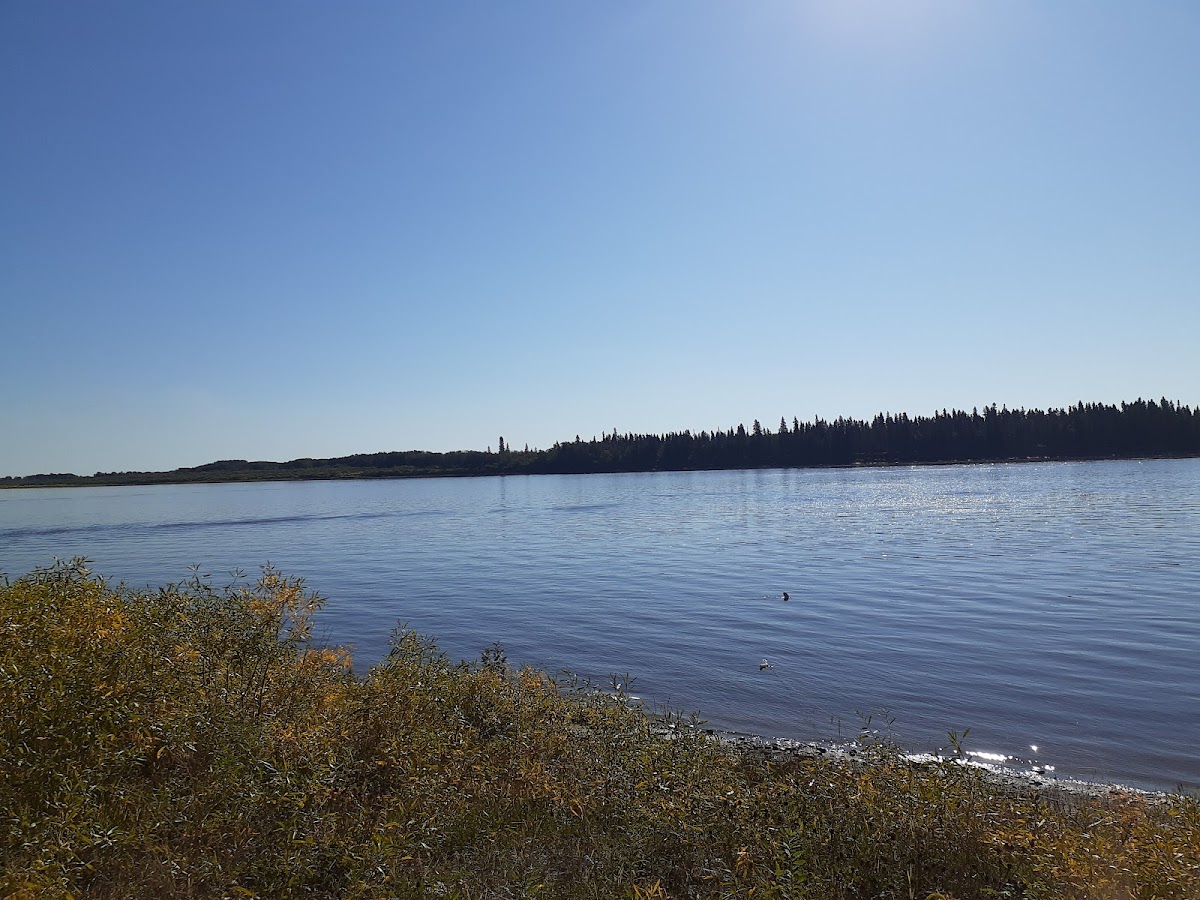 Tidewater Provincial Park