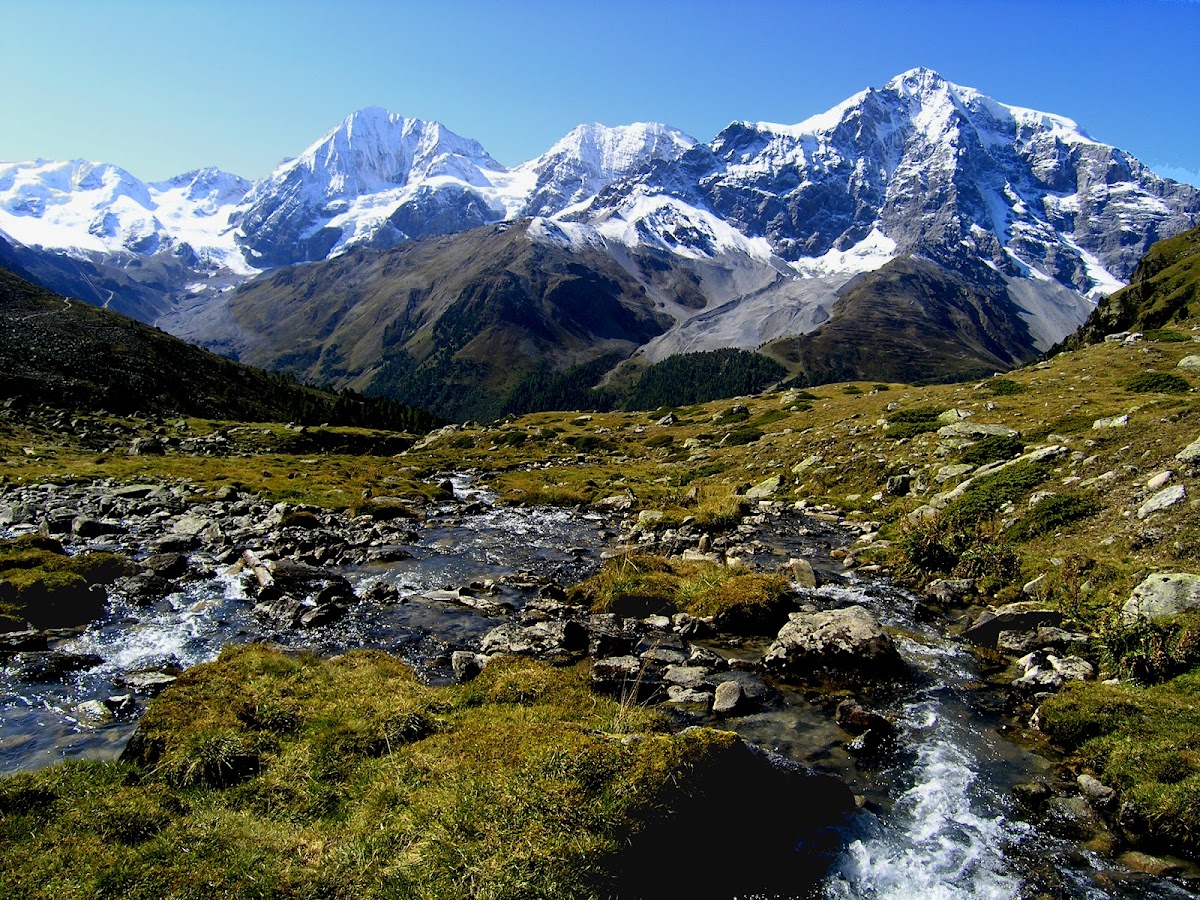 Ortler