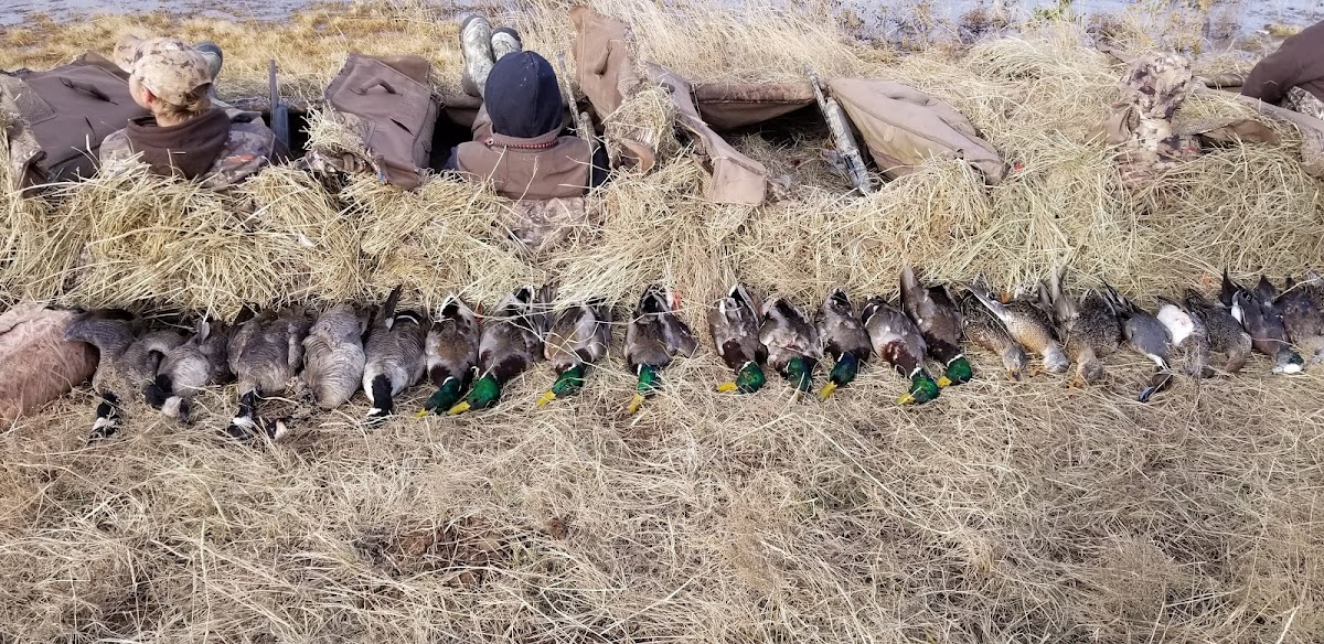 Coastal Wings Guide Service and Lodge photo 3