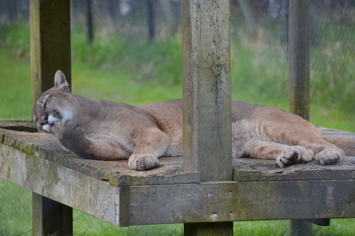 Two Rivers Wildlife Park